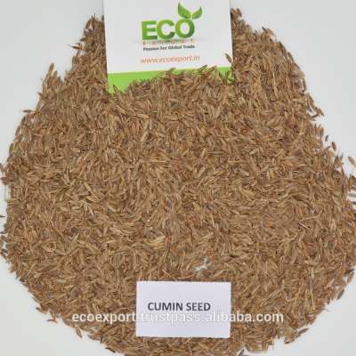 High Quality Iranian Cumin seeds (Green Jeera )