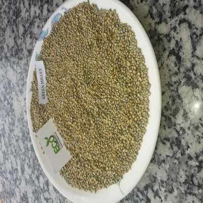 Green Millet